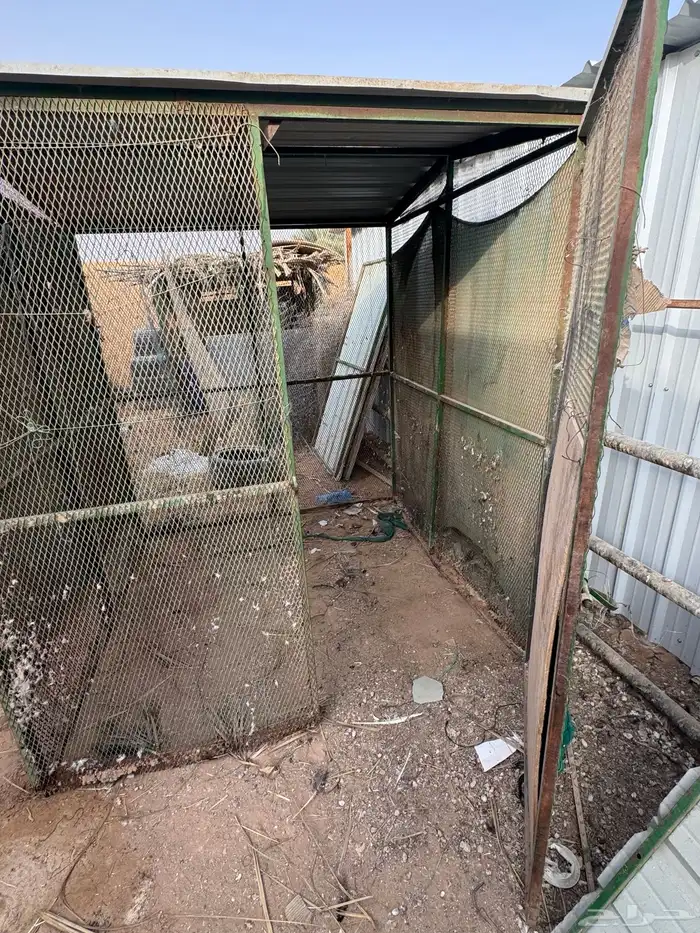 شبك بقلاوه فتحه صغير 1