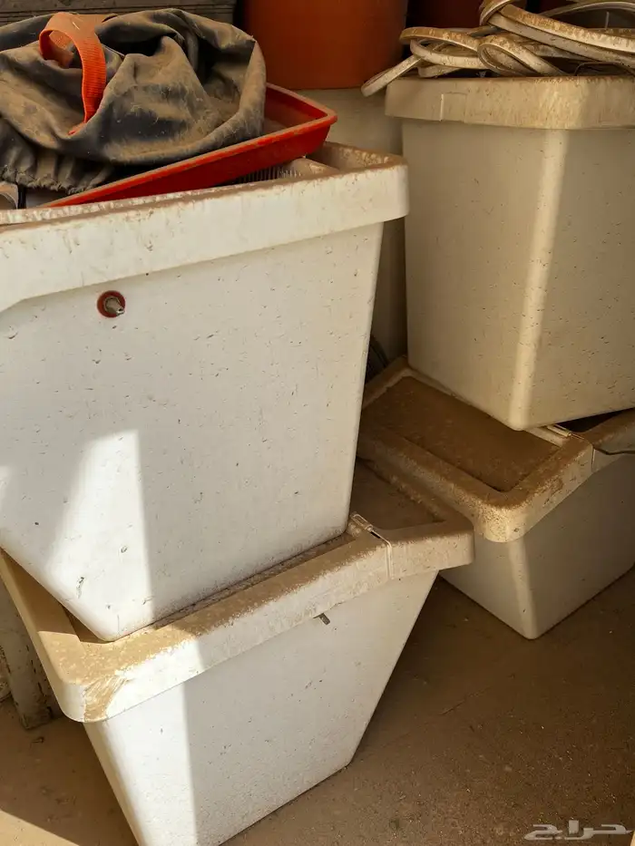 زراعة مائية 5