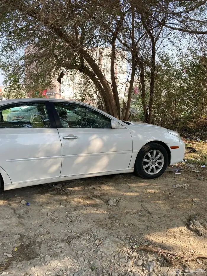 زهرة العمره 1