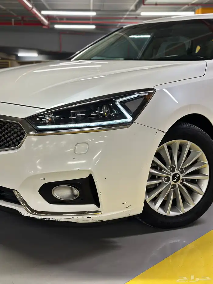 كادينزا 2017 شد بلد 11