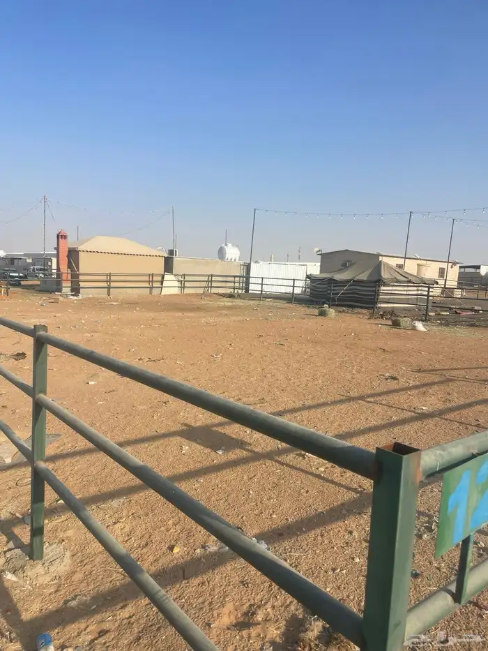 شبك للايجار سوق طويق رقم12 سوق الابل 0