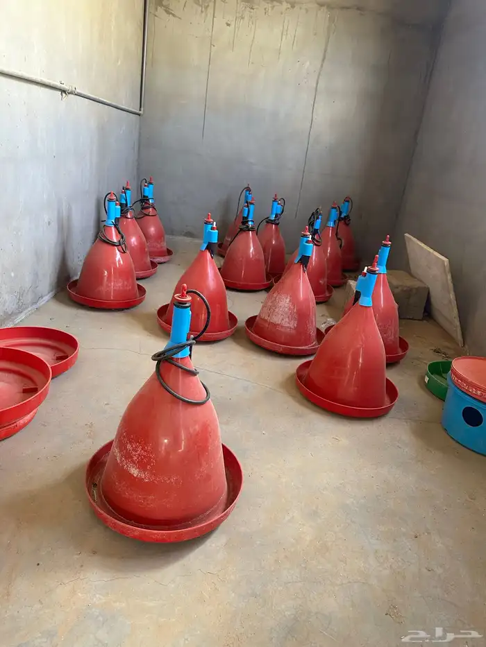 علافات طيور وسقايات 6