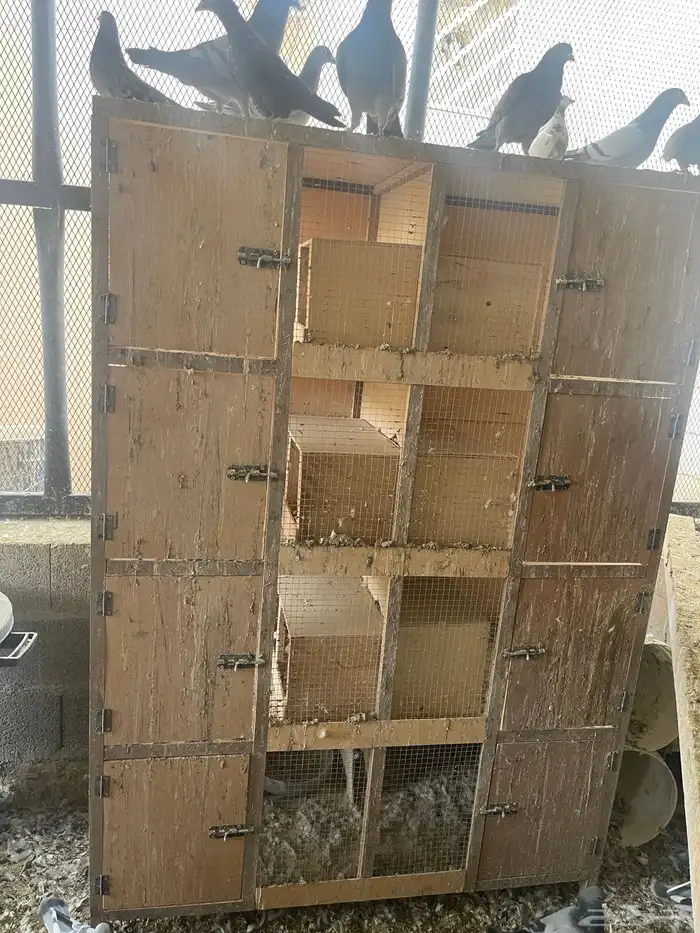 للبيع محكر حمام 4 ادوار 8 خانات 0