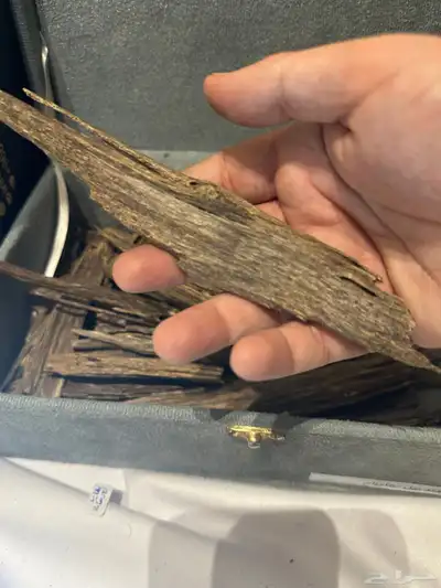 عود هندي ناجلاند فاخر index