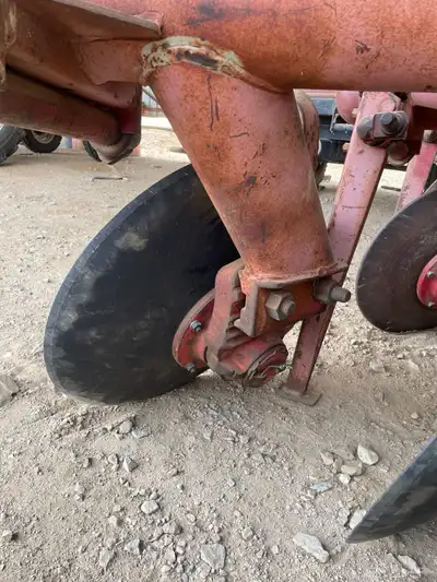 محراث انجليزي جفالي الأصلي index