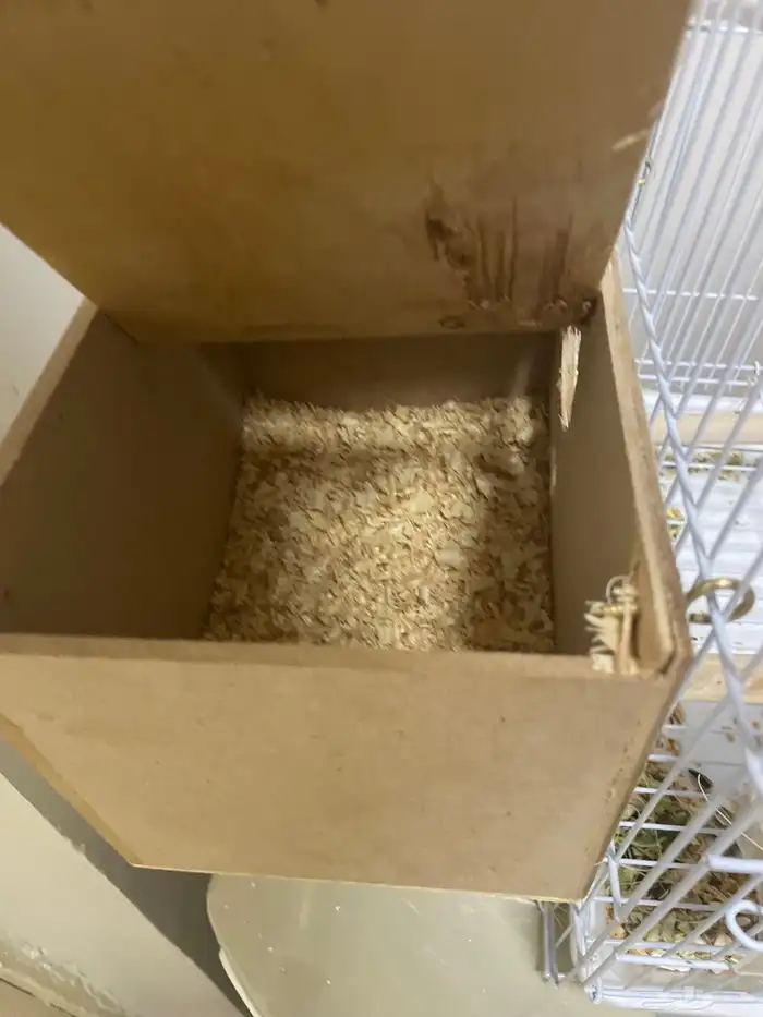 عصافير روز زواج 6