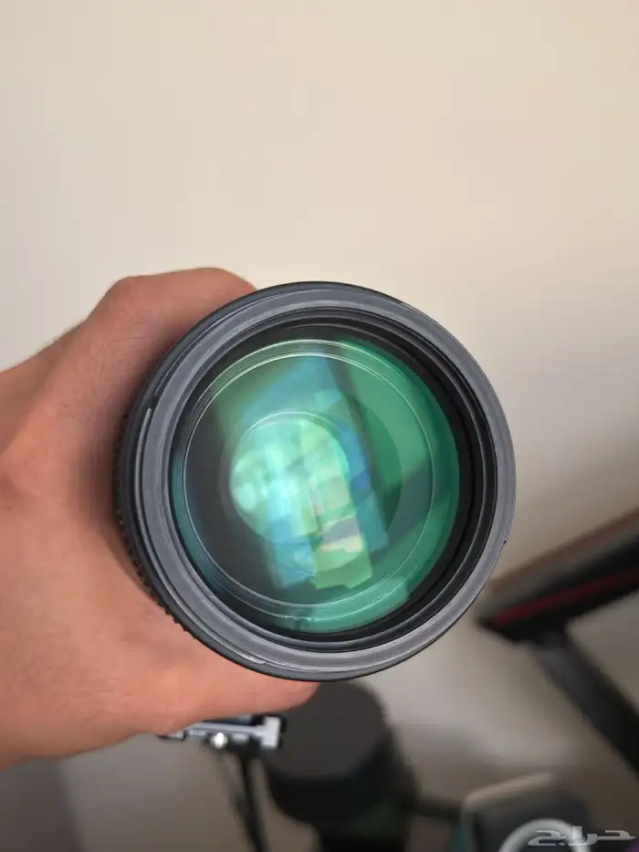 sigma 100-400 lens 1