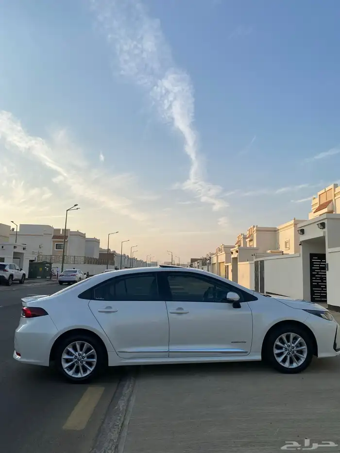 تم البيع تم البيع 11