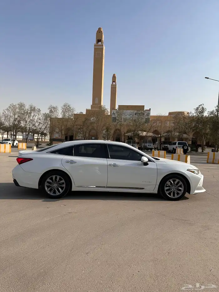 افلون 2019 تورنق 6