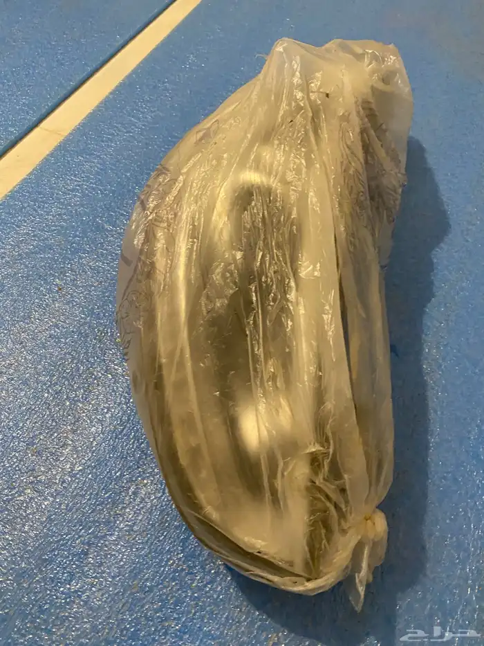 شمعه الاكسنت عدسه 2016 0