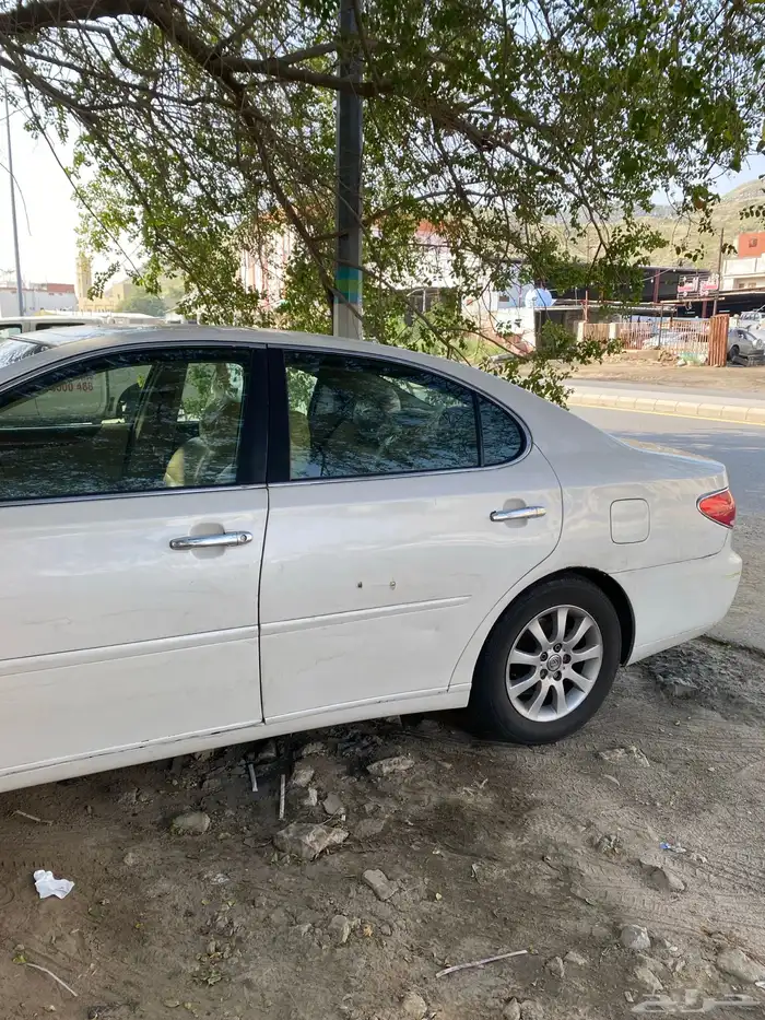 زهرة العمره 0