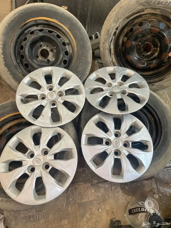 جنوط اكسنت وكالة مع الطيس 0