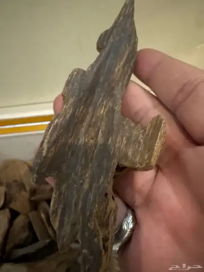 نوادر المروكي الحي index