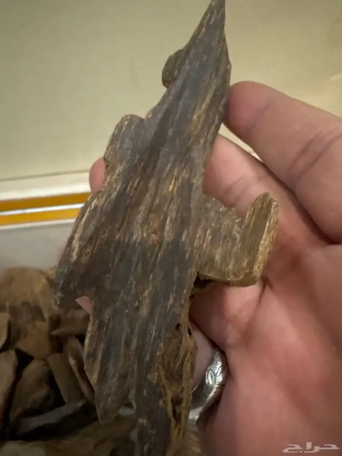 نوادر المروكي الحي 0