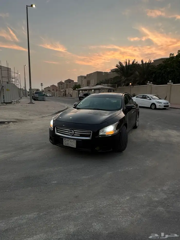 ماكسيما 2014 4