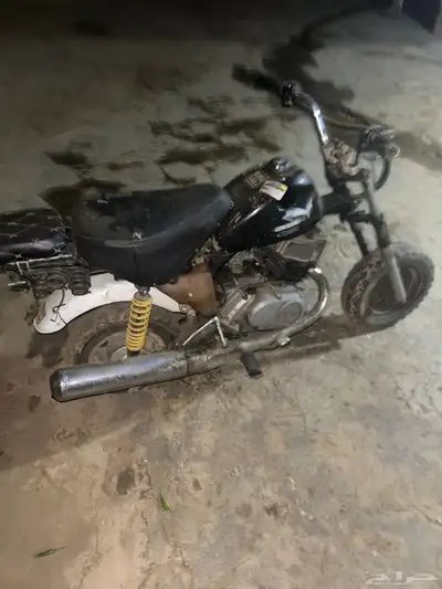 دباب للبيع على السوم جحش index