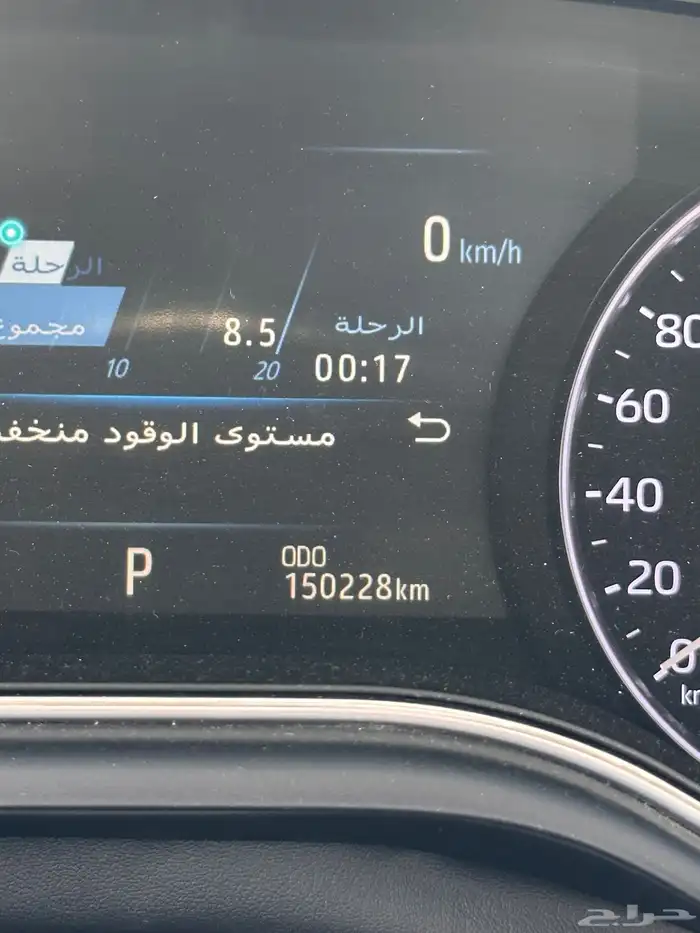 افلون 2019 تورنق 15