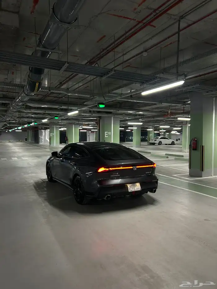 شانجان يوني في 2024 6