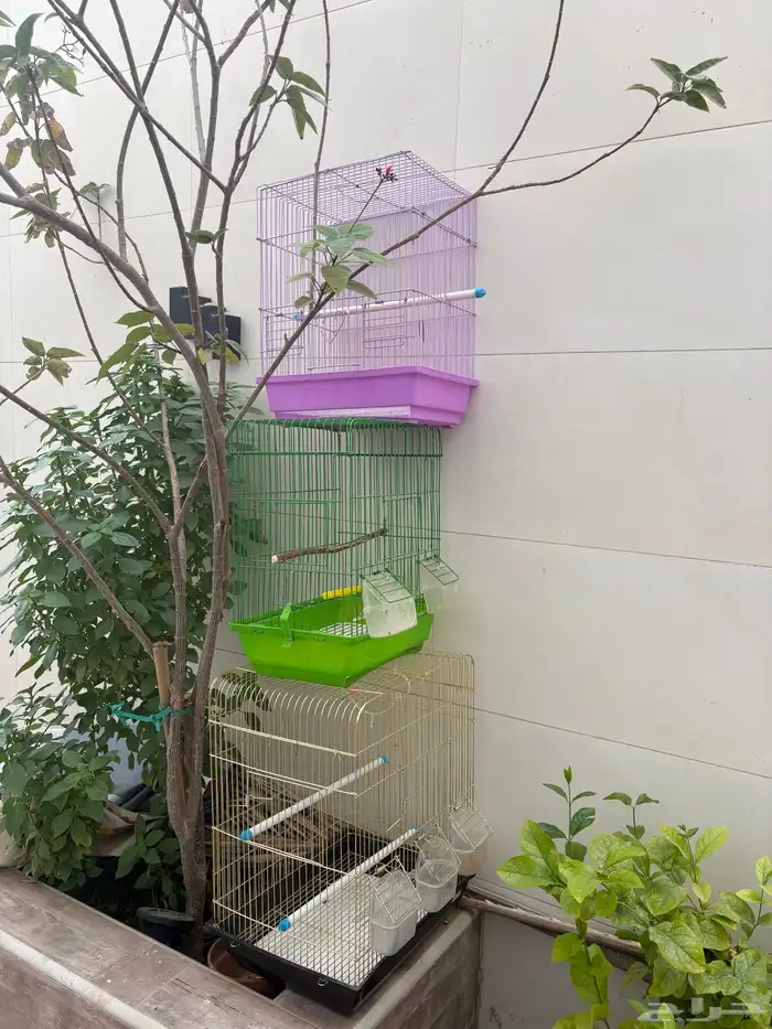 3 اقفاص بحاله جيد 0