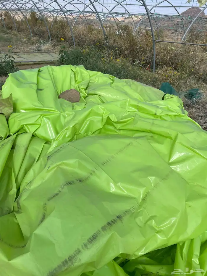 بلاستيك بيوت محميه موجود في احد رفيده للبيع بسعر مناسب جدا 1