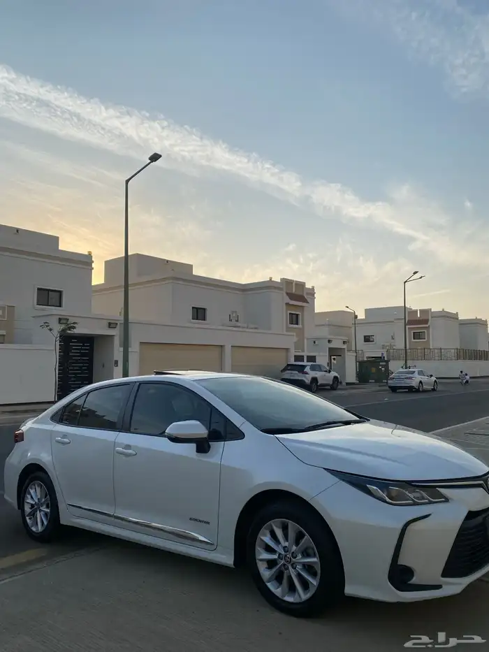 تم البيع تم البيع 1