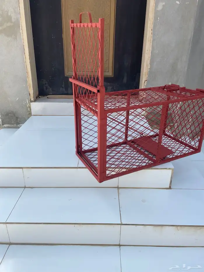 مصيد للحيونات التي تهاجم الدواجن من قطط وغيرها 0