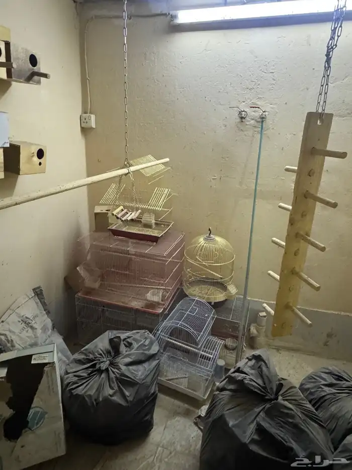 مستلزمات طيور 2