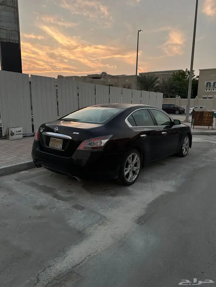 ماكسيما 2014 15