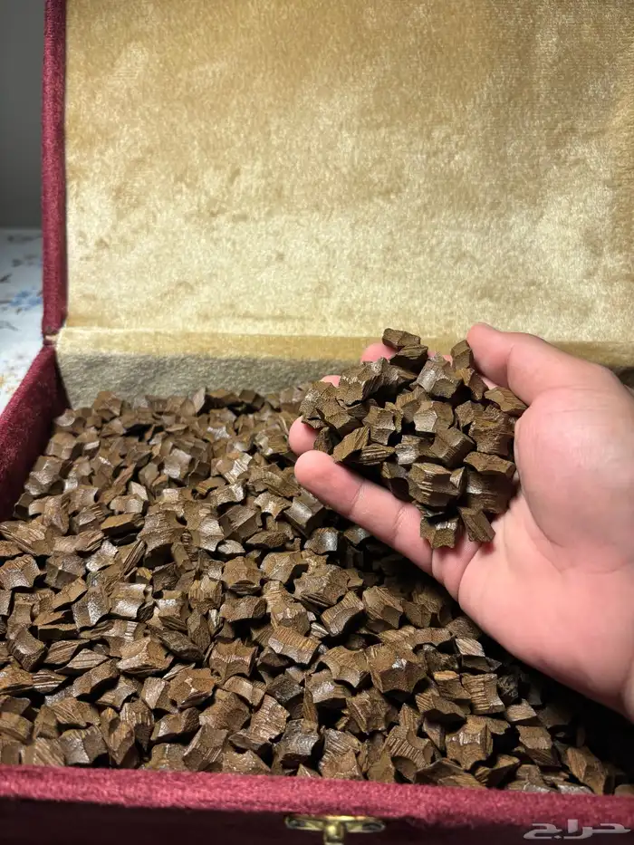 عود الفراشة الصناعي 1