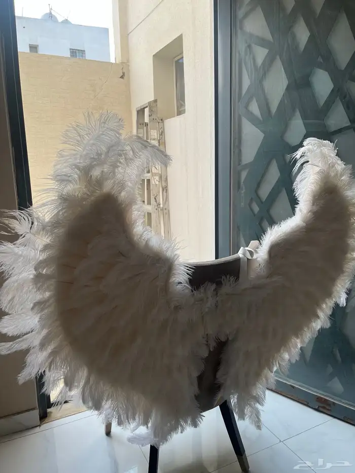 اجنحه للبيع 1