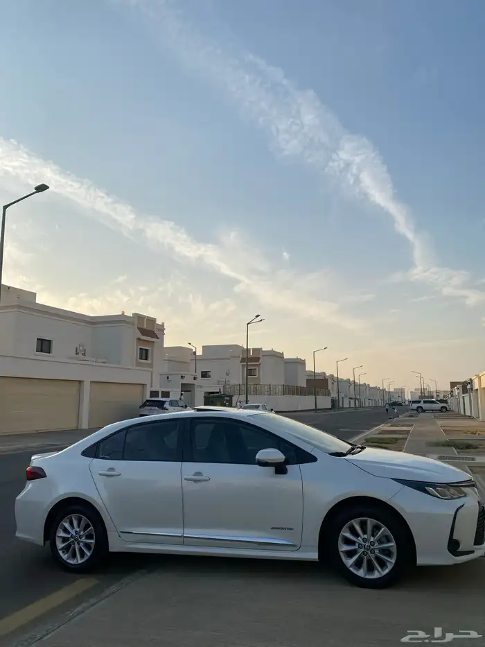 تم البيع تم البيع 5