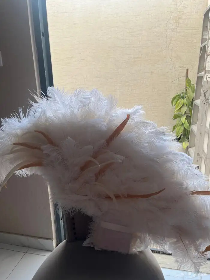 اجنحه للبيع 3