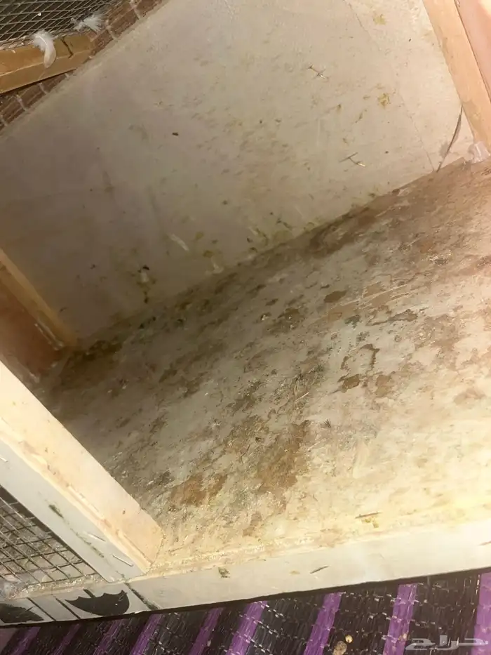 محكر البيع نضيف استخدام أسبوع على السوم 5