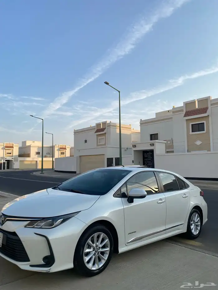 تم البيع تم البيع 0