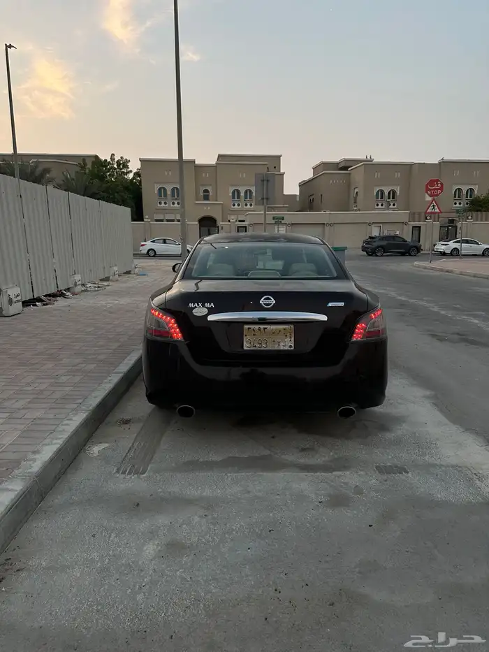 ماكسيما 2014 17