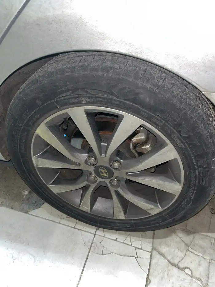 جنوط اكسنت 2016 3