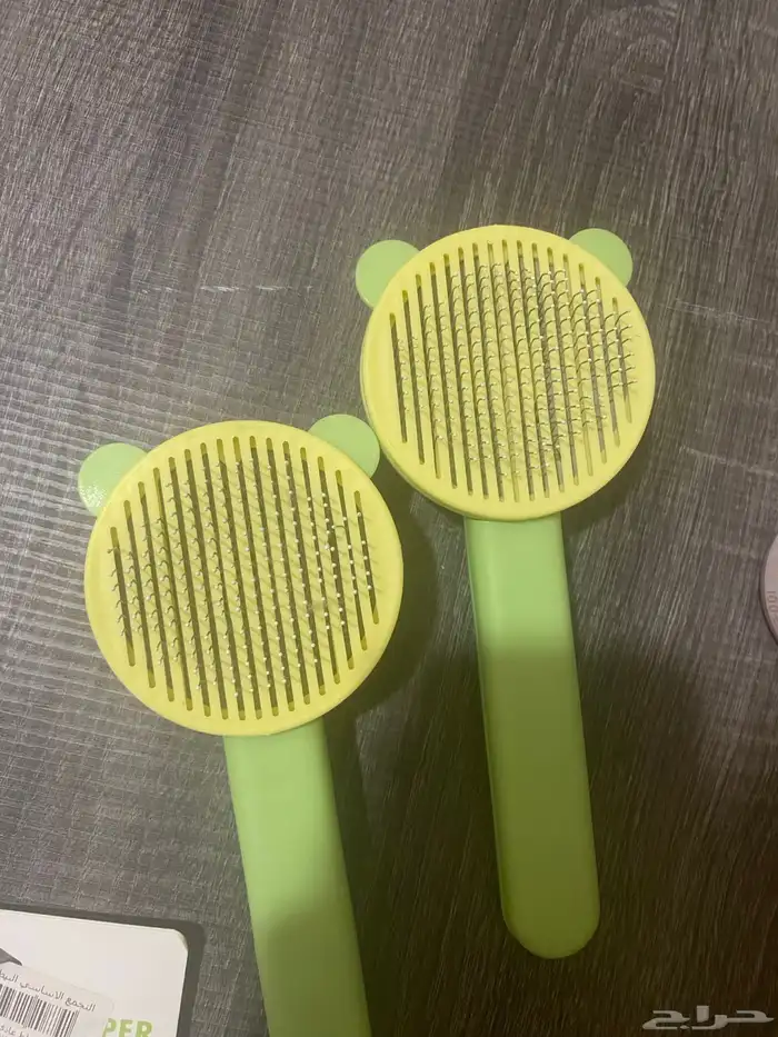 قطط ذكور للبيع 9