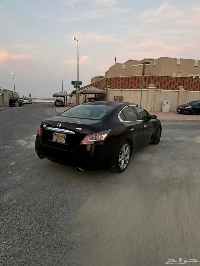 ماكسيما 2014 1