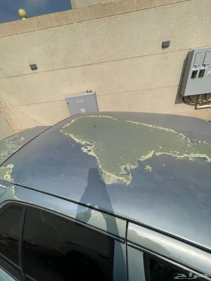 فورد فكتوريا 2006 تشليح 16