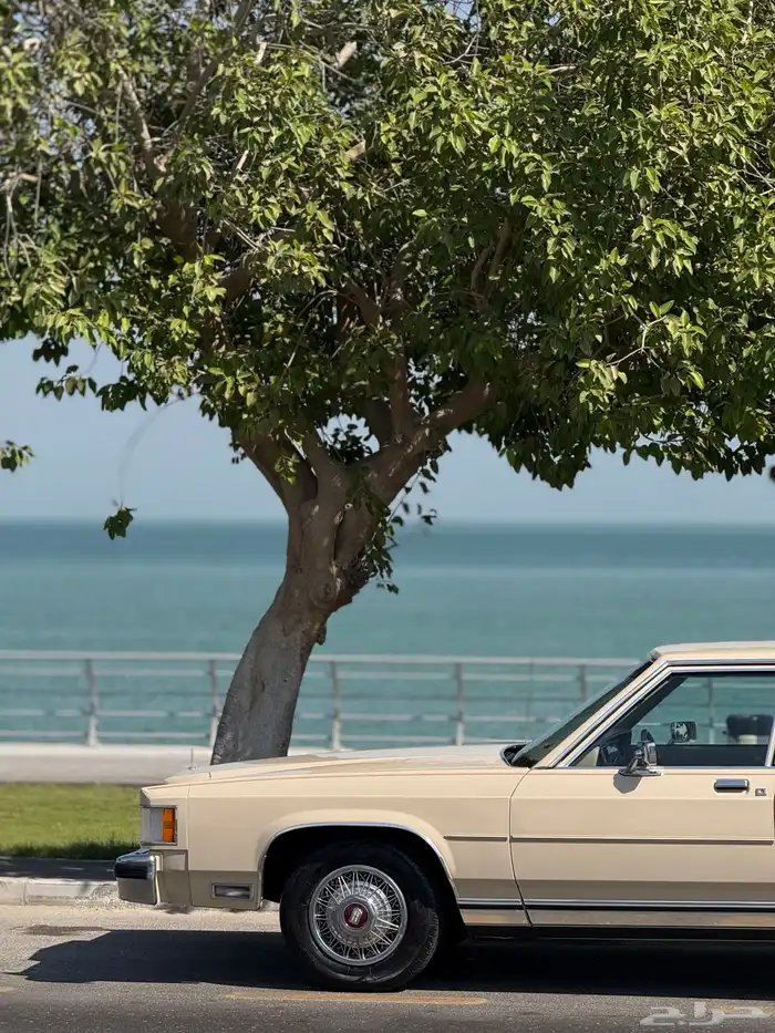 فورد ماركيز كلاسيك 17