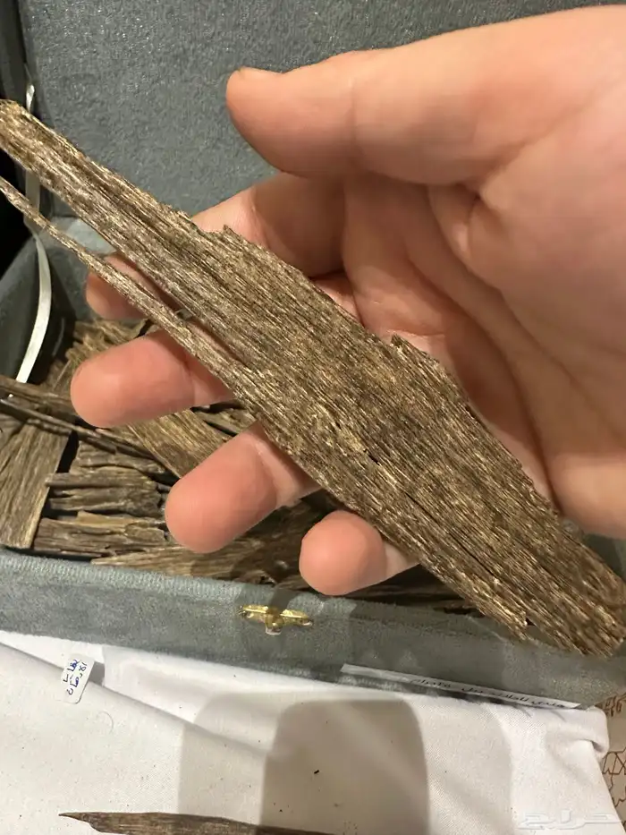 عود هندي ناجلاند فاخر 11