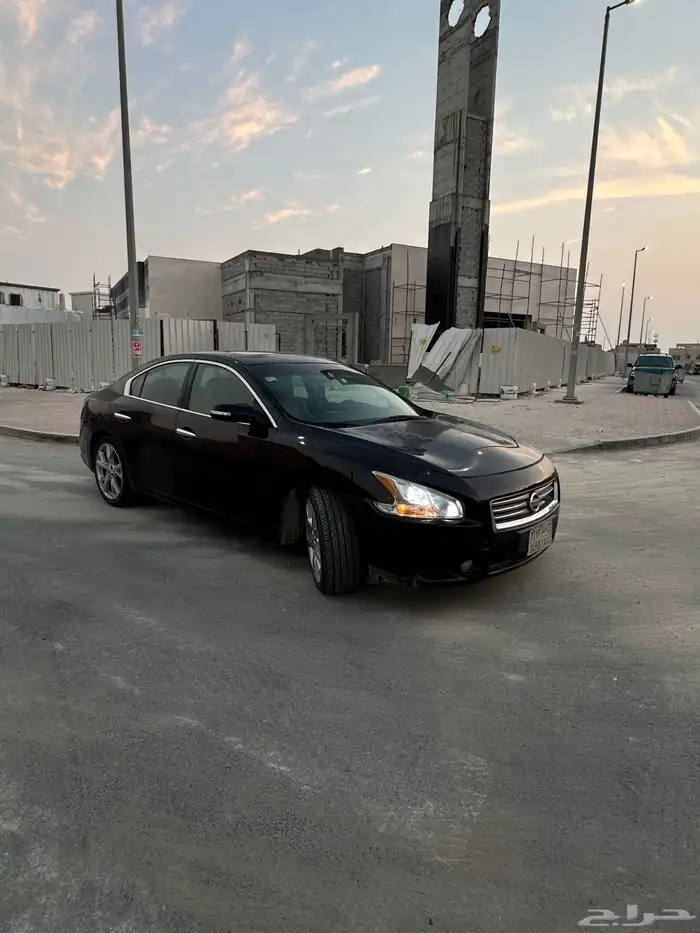 ماكسيما 2014 13