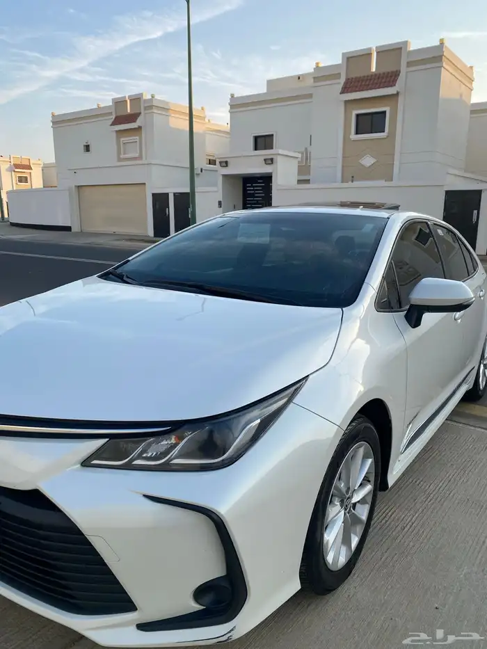 تم البيع تم البيع 13