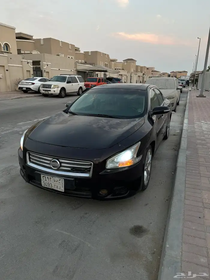 ماكسيما 2014 16