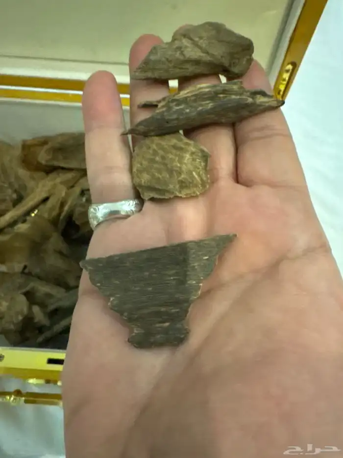 نوادر المروكي الحي 3