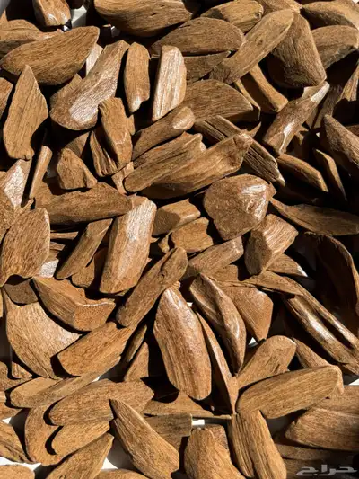 عود مروكي محسن خالي من المستكة index