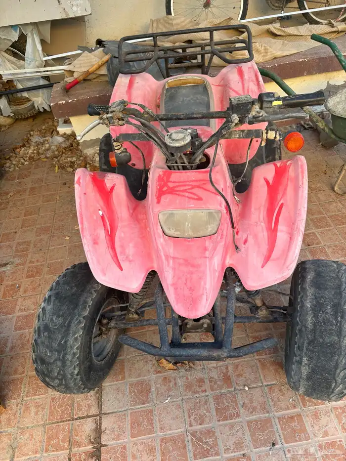 دباب سويدي للبيع 0