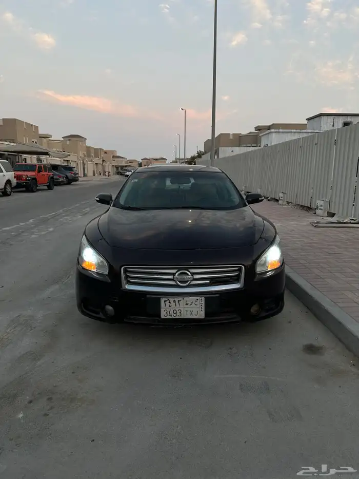 ماكسيما 2014 10