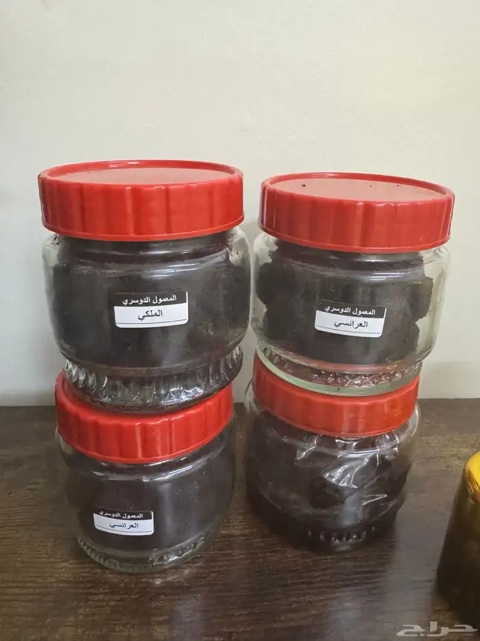 معمول دوسري ملكي 1