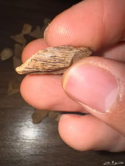 دقة عود سيلاني قديمة وثقيلة ( 20 جرام ) index